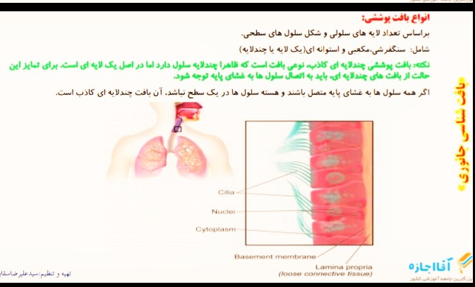 بافت شناسی جانوری